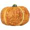 Fall Harvest Ceramic Pumpkins Decoration Set